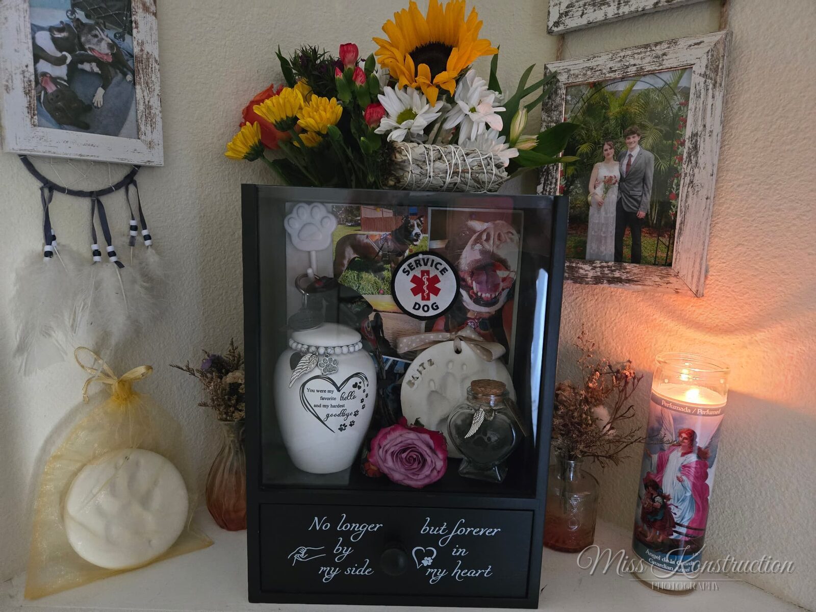 In Loving Memory of Blitz